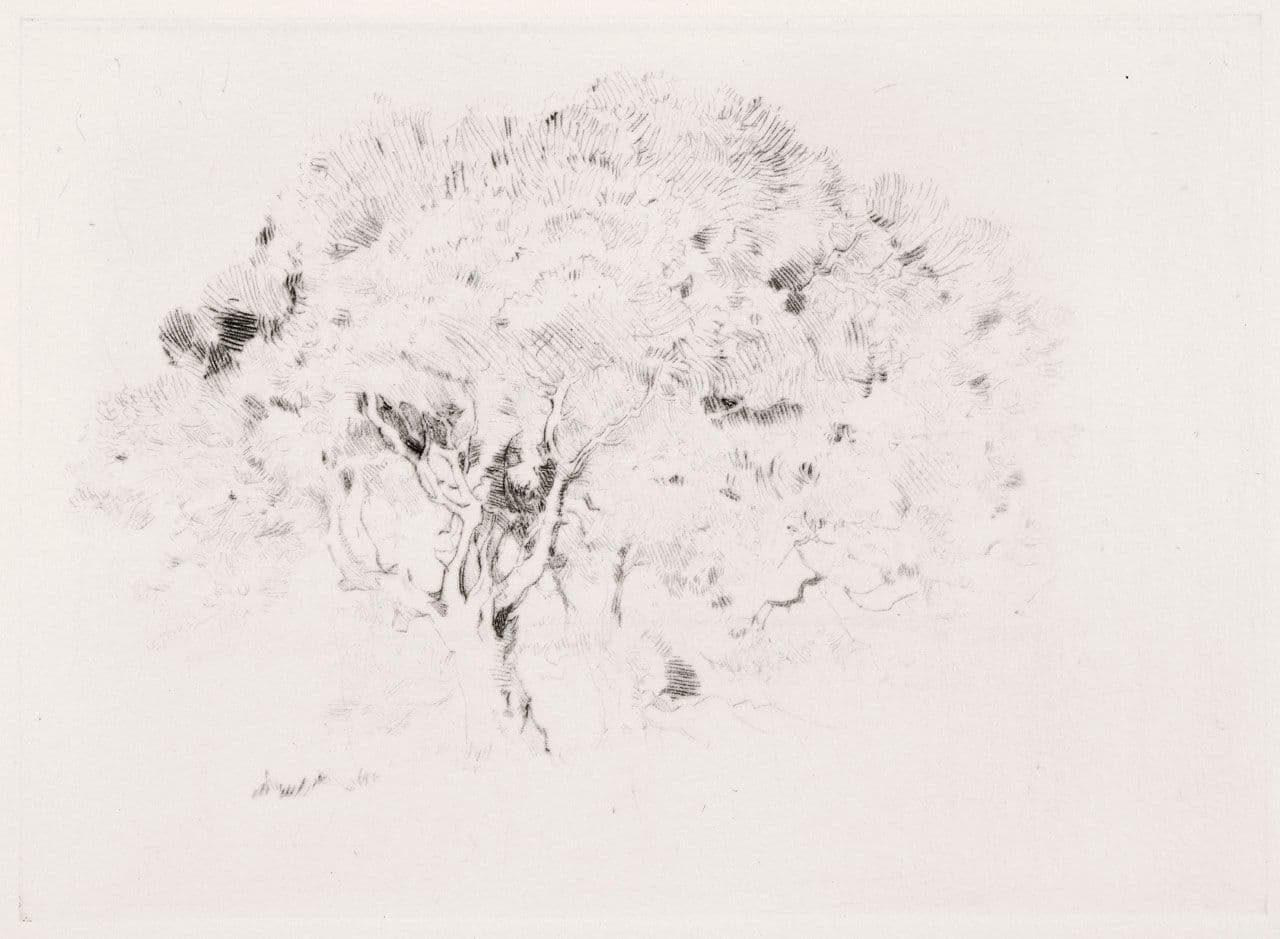 A Study of Trees
Percy Gray
19th Century,20th Century
1980.27.b A Study of Trees
Percy Gray
19th Century,20th Century
1980.27.b