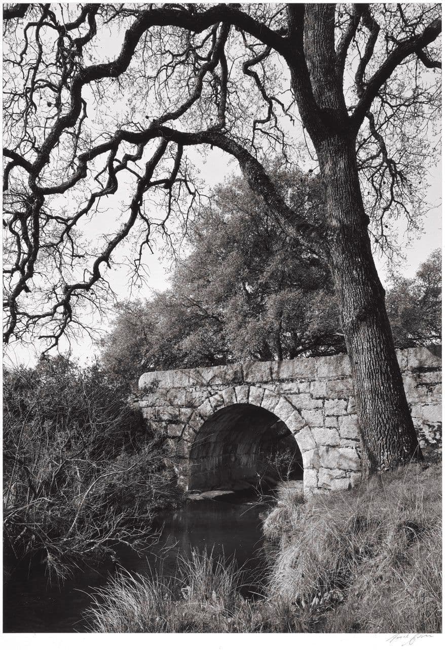 Arched Bridge—Trees