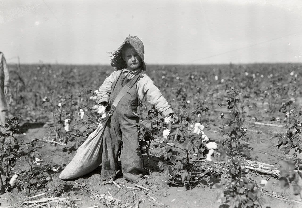 Child Picking Cotton